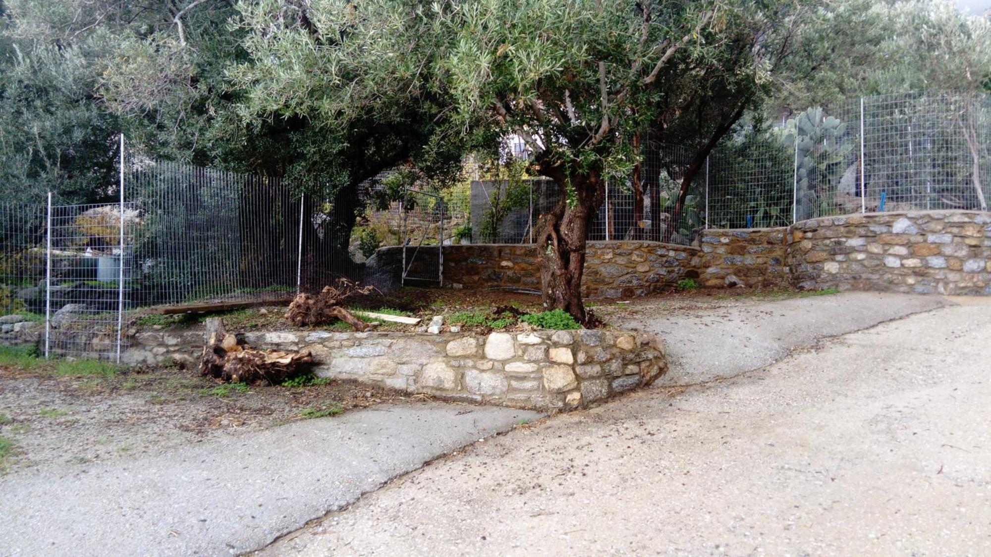 Zacharoula Rooms Μαγγανίτη Εξωτερικό φωτογραφία