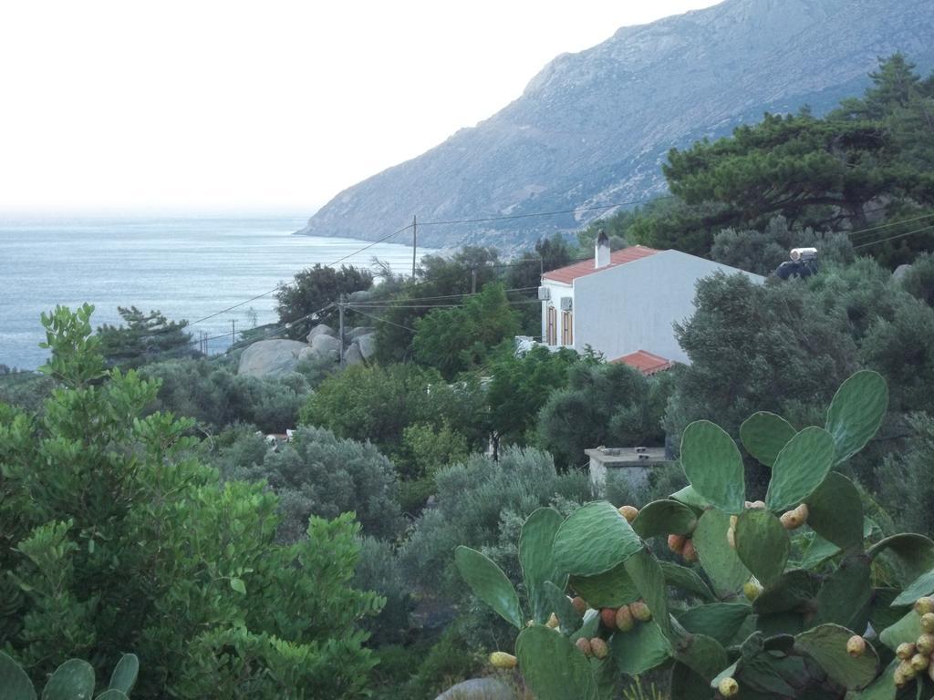 Zacharoula Rooms Μαγγανίτη Εξωτερικό φωτογραφία